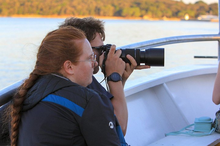 Bootstour in Pula, Kroatien, mit Delfinbeobachtung und Sonnenuntergang über dem Nationalpark Brijuni, Foto 23 | wizardtrip