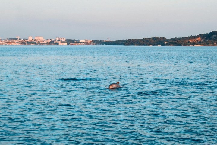 Bootstour in Pula, Kroatien, mit Delfinbeobachtung und Sonnenuntergang über dem Nationalpark Brijuni, Foto 28 | wizardtrip