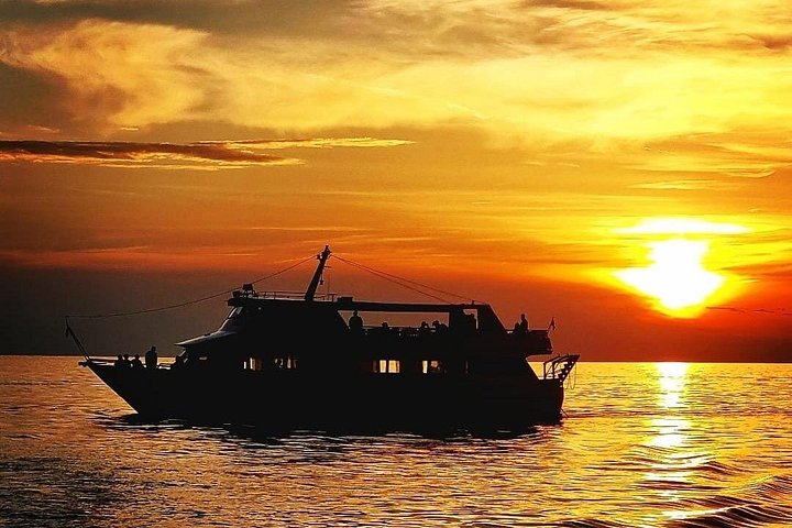 Bootstour in Pula, Kroatien, mit Delfinbeobachtung und Sonnenuntergang über dem Nationalpark Brijuni, Foto 41 | wizardtrip