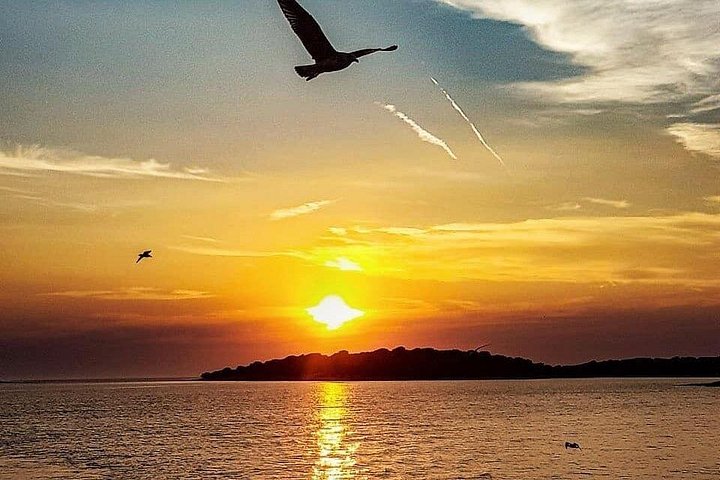 Bootstour in Pula, Kroatien, mit Delfinbeobachtung und Sonnenuntergang über dem Nationalpark Brijuni, Foto 43 | wizardtrip