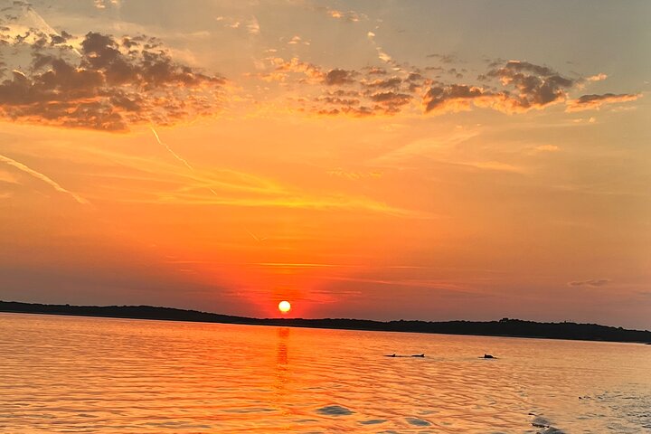 Bootstour in Pula, Kroatien, mit Delfinbeobachtung und Sonnenuntergang über dem Nationalpark Brijuni, Foto 44 | wizardtrip