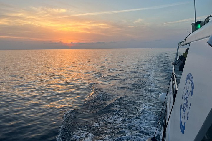 Bootstour in Pula, Kroatien, mit Delfinbeobachtung und Sonnenuntergang über dem Nationalpark Brijuni, Foto 45 | wizardtrip