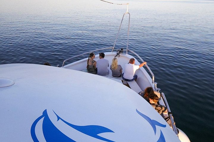 Bootstour in Pula, Kroatien, mit Delfinbeobachtung und Sonnenuntergang über dem Nationalpark Brijuni, Foto 46 | wizardtrip