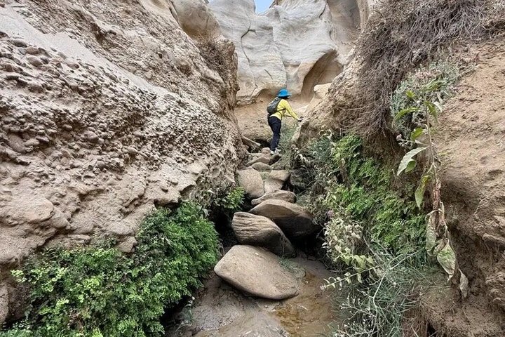 Visite guidée de canyons et grottes avec de superbes vues sur l'océan Pacifique à La Jolla, photo 8 | wizardtrip