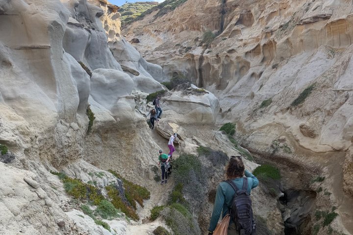 Visite guidée de canyons et grottes avec de superbes vues sur l'océan Pacifique à La Jolla, photo 9 | wizardtrip