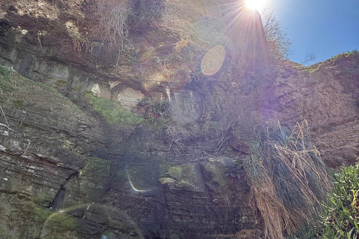 Visite guidée de canyons et grottes avec de superbes vues sur l'océan Pacifique à La Jolla, photo 10 | wizardtrip