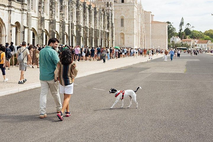 Private eco-tuk-tuk tour exploring Lisbon's historic sites and scenic viewpoints with local tastings, photo 10 | wizardtrip