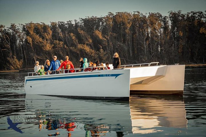 Elkhorn Slough Wildlife Tour | wizardtrip