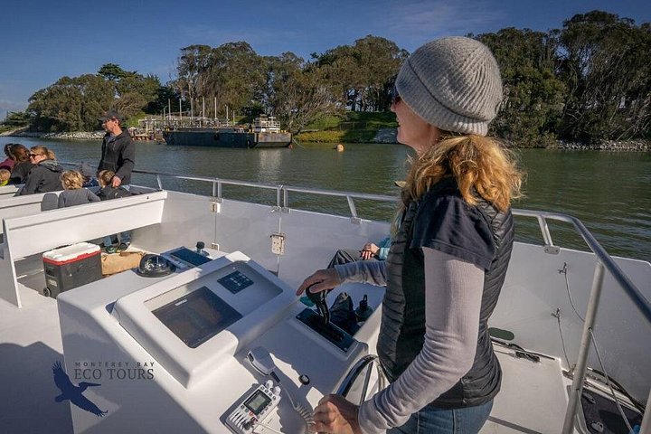 Elektrisk katamarantur i Elkhorn Slough, Monterey, foto 7 | wizardtrip