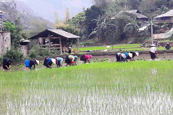 Erleben Sie die raue Schönheit der Ha Giang Loop auf einer 4-tägigen Motorradtour in Vietnam, Foto 15 | wizardtrip