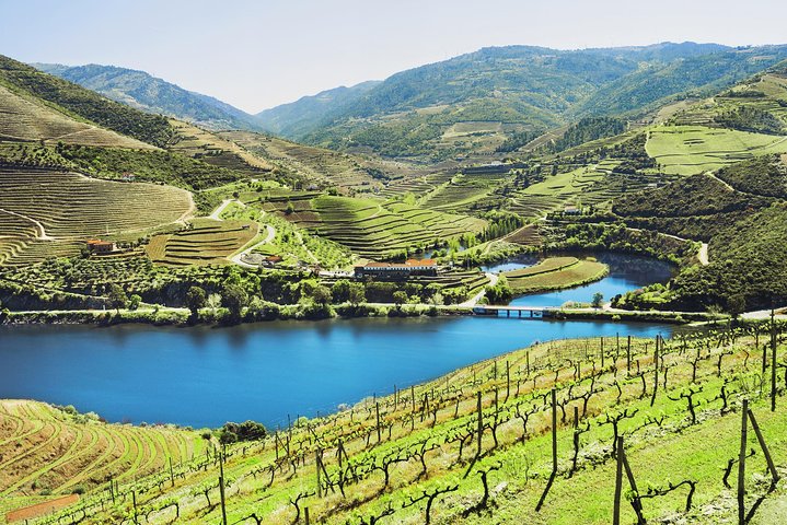 Douro Vallei Small Group Tour: 2 Wineries, Lunch & River Cruise | wizardtrip