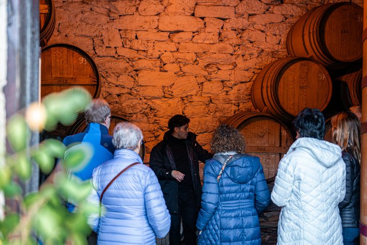 Small group tour exploring the Douro Valley, Portugal, with wine tasting and river cruise, photo 9 | wizardtrip