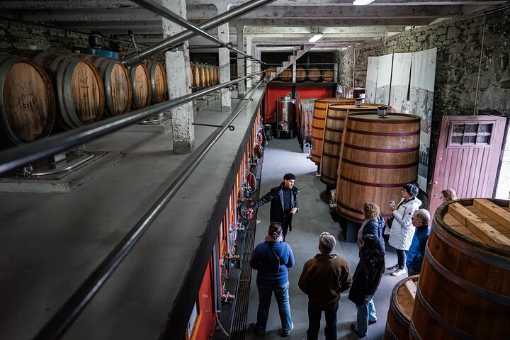 Small group tour exploring the Douro Valley, Portugal, with wine tasting and river cruise, photo 10 | wizardtrip
