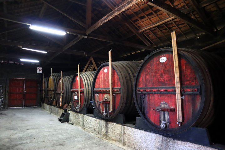 Small group tour exploring the Douro Valley, Portugal, with wine tasting and river cruise, photo 12 | wizardtrip