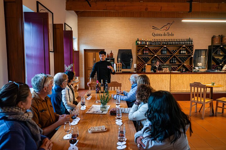 Small group tour exploring the Douro Valley, Portugal, with wine tasting and river cruise, photo 13 | wizardtrip