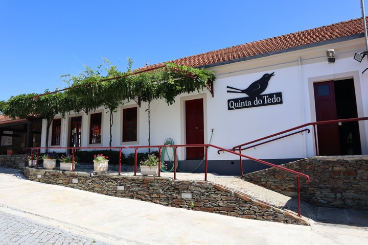 Small group tour exploring the Douro Valley, Portugal, with wine tasting and river cruise, photo 19 | wizardtrip