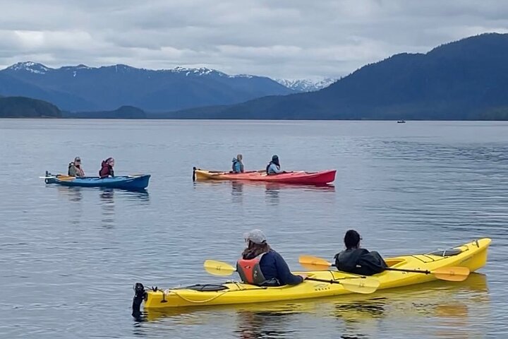 Guidet kajak øko-tur i Ketchikan, Alaska, udforsker regnskovsøer og spotter dyreliv, foto 8 | wizardtrip
