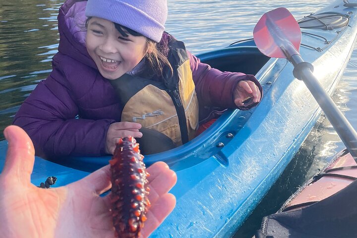 Guidet kajak øko-tur i Ketchikan, Alaska, udforsker regnskovsøer og spotter dyreliv, foto 9 | wizardtrip