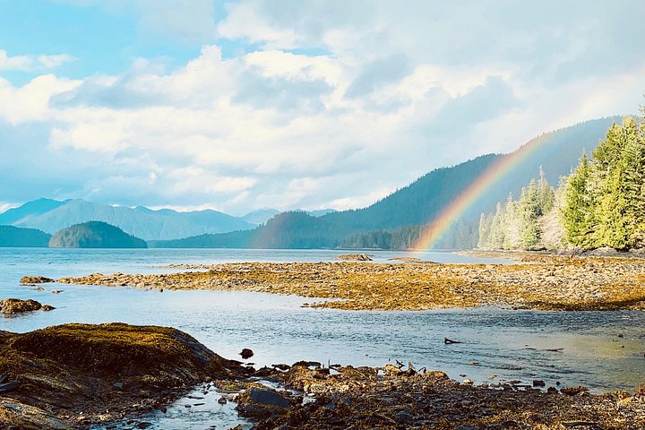Ketchikan elcykel- och regnskogsvandringstur | wizardtrip
