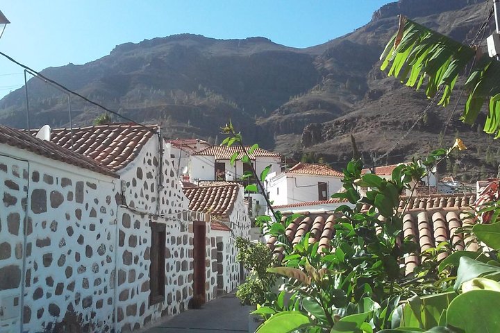 Heldagstur på Gran Canaria, med vulkankratere, historiske landsbyer og sandklitter, foto 7 | wizardtrip