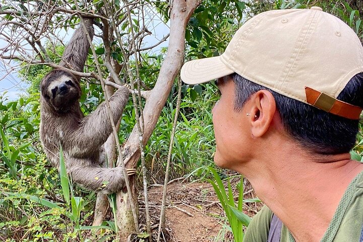 Wandern Sie auf der Pedra da Gávea in Rio de Janeiro für atemberaubende Ausblicke und eine abenteuerliche Wanderung, Foto 12 | wizardtrip