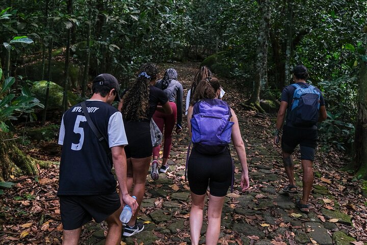 Wandern Sie auf der Pedra da Gávea in Rio de Janeiro für atemberaubende Ausblicke und eine abenteuerliche Wanderung, Foto 23 | wizardtrip