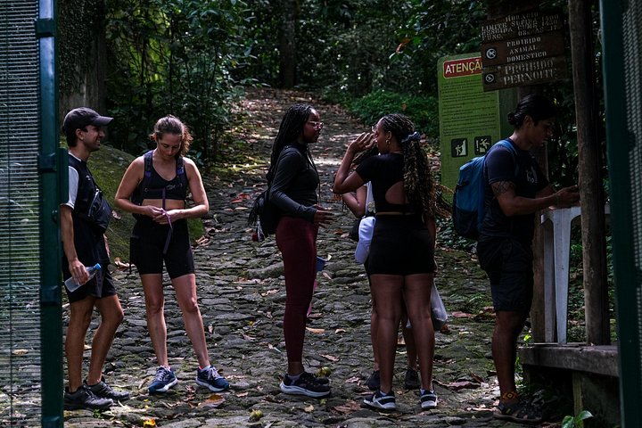 Wandern Sie auf der Pedra da Gávea in Rio de Janeiro für atemberaubende Ausblicke und eine abenteuerliche Wanderung, Foto 35 | wizardtrip