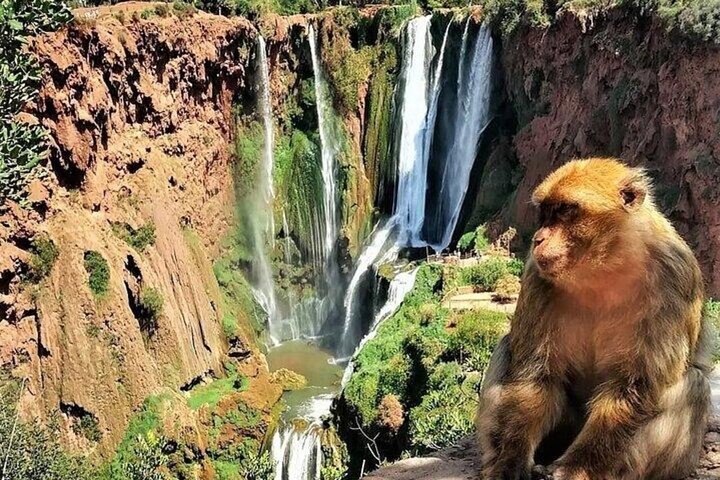 Excursion guidée aux cascades d'Ouzoud depuis Marrakech, avec de superbes cascades et des balades en bateau en option, photo 6 | wizardtrip