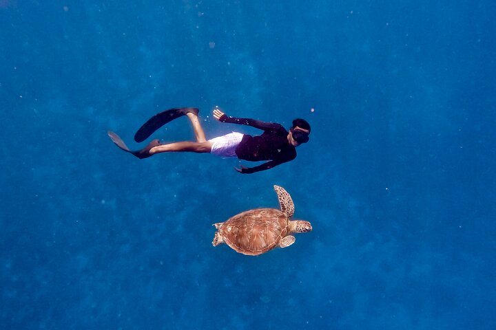 Gili Trawangan | wizardtrip