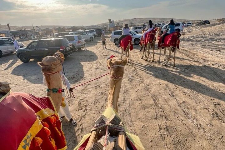 Upplev en spännande ökensafari i Doha, Qatar, med dune bashing, sandboarding och kamelridning, foto 9 | wizardtrip
