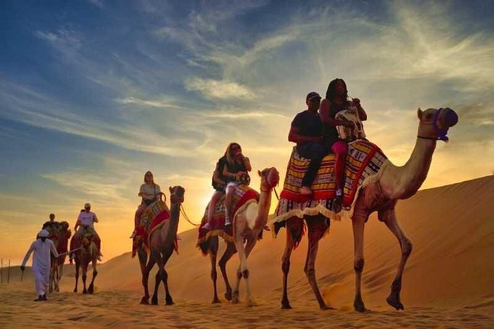Upplev en spännande ökensafari i Doha, Qatar, med dune bashing, sandboarding och kamelridning, foto 14 | wizardtrip