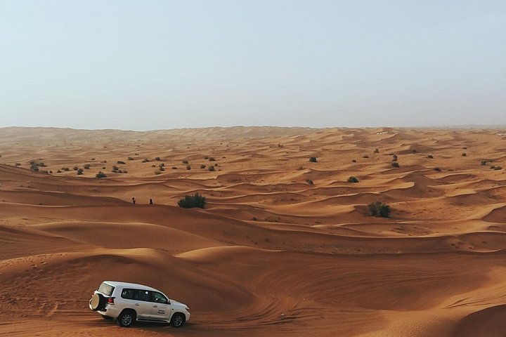 Upplev en spännande ökensafari i Doha, Qatar, med dune bashing, sandboarding och kamelridning, foto 25 | wizardtrip