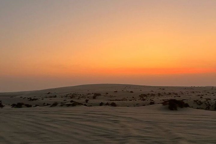 Upplev en spännande ökensafari i Doha, Qatar, med dune bashing, sandboarding och kamelridning, foto 31 | wizardtrip