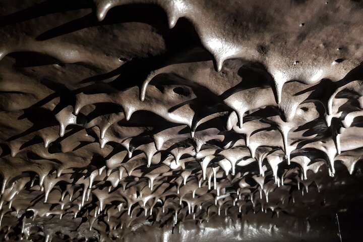 Explorez les fascinants tunnels de lave de La Réunion, une aventure souterraine unique, photo 2 | wizardtrip