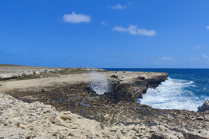 Passeio panorâmico de dia inteiro pelos locais históricos e belas praias de Antígua, foto 6 | wizardtrip