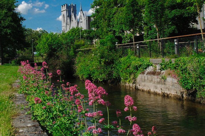 Visite à pied de la ville de Galway, explorant des sites historiques et des monuments, photo 17 | wizardtrip