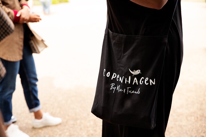 Passeio a pé pelos marcos icónicos de Copenhaga, incluindo Nyhavn e a Pequena Sereia, foto 10 | wizardtrip