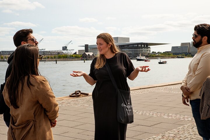 Passeio a pé pelos marcos icónicos de Copenhaga, incluindo Nyhavn e a Pequena Sereia, foto 11 | wizardtrip
