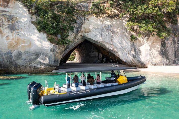 Ocean Leopard - Tour en bateau de la côte volcanique et de Cathedral Cove | wizardtrip