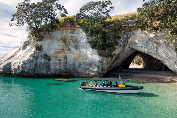 Passeio panorâmico de barco explorando a Cathedral Cove e a costa vulcânica de Whitianga, Nova Zelândia, foto 6 | wizardtrip