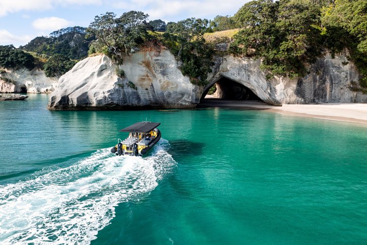 Passeio panorâmico de barco explorando a Cathedral Cove e a costa vulcânica de Whitianga, Nova Zelândia, foto 7 | wizardtrip