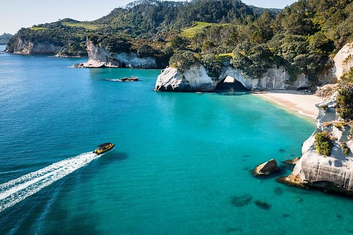 Passeio panorâmico de barco explorando a Cathedral Cove e a costa vulcânica de Whitianga, Nova Zelândia, foto 10 | wizardtrip