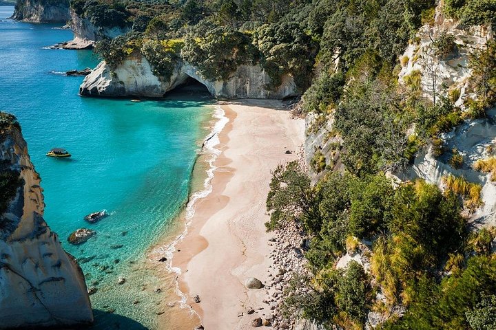 Passeio panorâmico de barco explorando a Cathedral Cove e a costa vulcânica de Whitianga, Nova Zelândia, foto 13 | wizardtrip