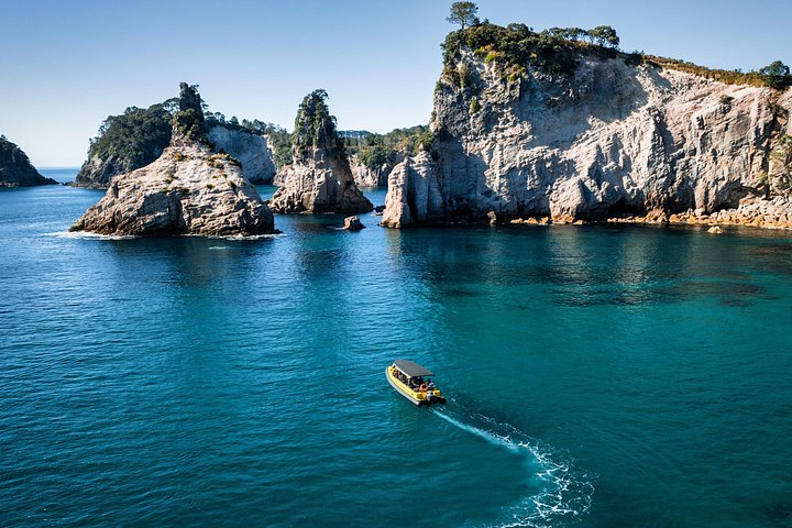 Passeio panorâmico de barco explorando a Cathedral Cove e a costa vulcânica de Whitianga, Nova Zelândia, foto 14 | wizardtrip