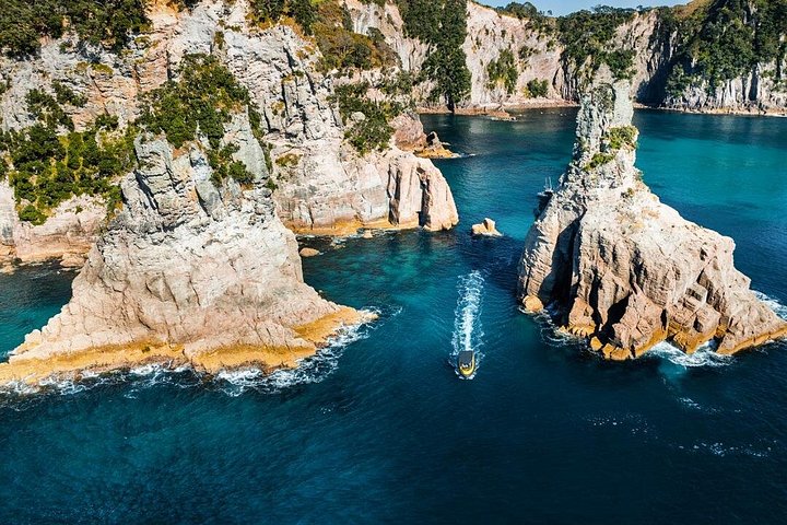 Passeio panorâmico de barco explorando a Cathedral Cove e a costa vulcânica de Whitianga, Nova Zelândia, foto 15 | wizardtrip