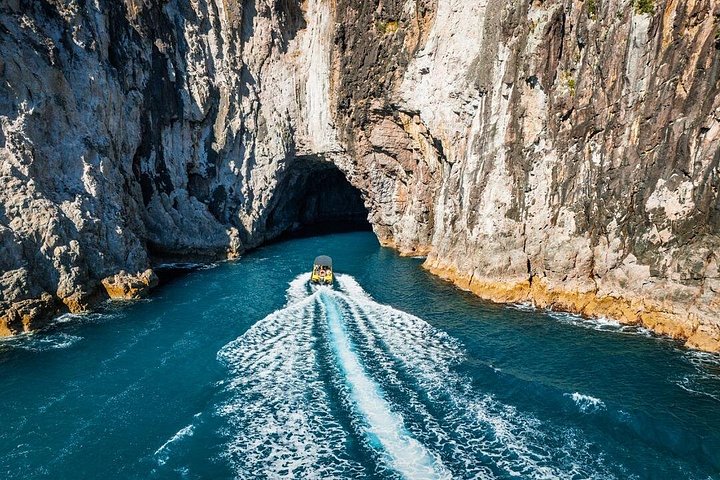 Passeio panorâmico de barco explorando a Cathedral Cove e a costa vulcânica de Whitianga, Nova Zelândia, foto 16 | wizardtrip