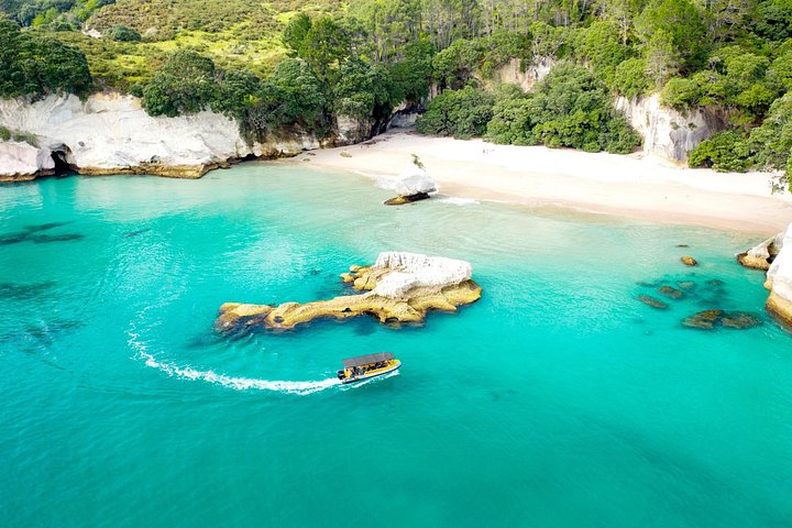 Passeio panorâmico de barco explorando a Cathedral Cove e a costa vulcânica de Whitianga, Nova Zelândia, foto 18 | wizardtrip