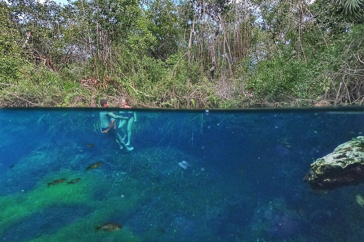 Utforsk fantastiske cenoter i Tulum og Riviera Maya på en privat guidet tur, foto 6 | wizardtrip