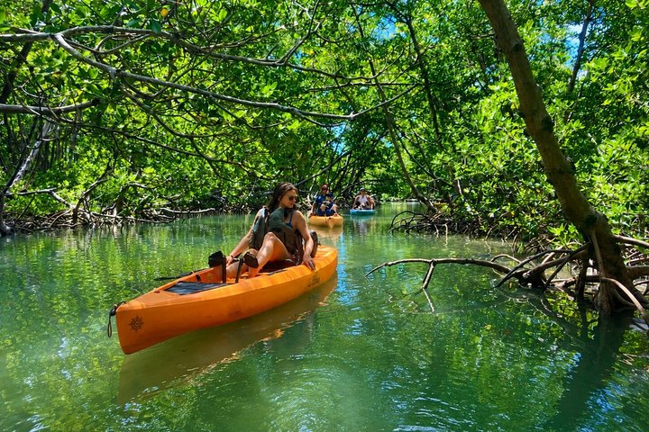 Marco Island and Naples Pedal or Paddle Kayak Tour | wizardtrip
