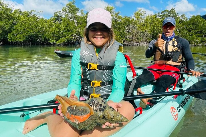 Nyt en avslappende kajakktur som utforsker mangrover og dyreliv på Marco Island, Florida, foto 8 | wizardtrip